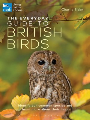 cover image of The Everyday Guide to British Birds